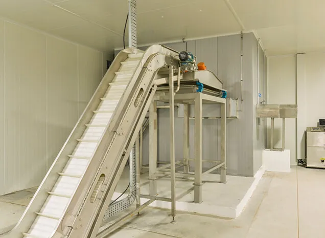 Straight Line IQF, Integrated Food Park, Bangalore