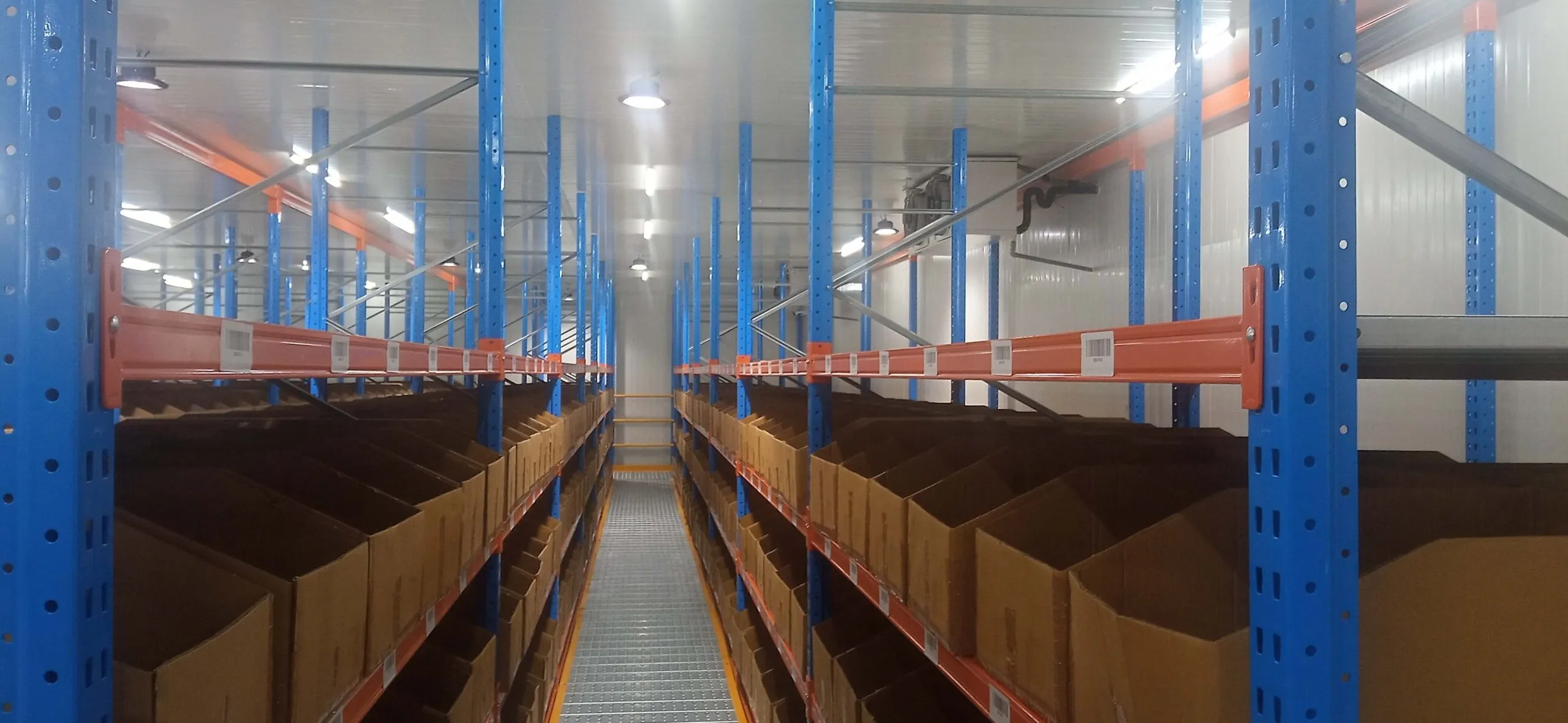 TVS Supply Chain Solutions Limited