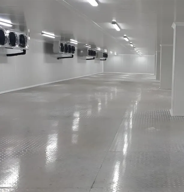 Custom or Standard Sized Cold Rooms